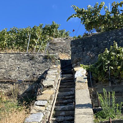 escalier_CARRE